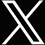X icon 3