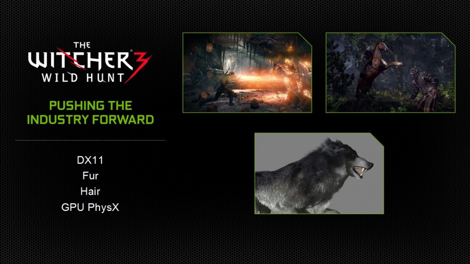 The Witcher 3 Wild Hunt NVIDIA