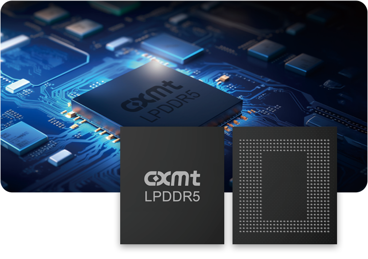 CXMT