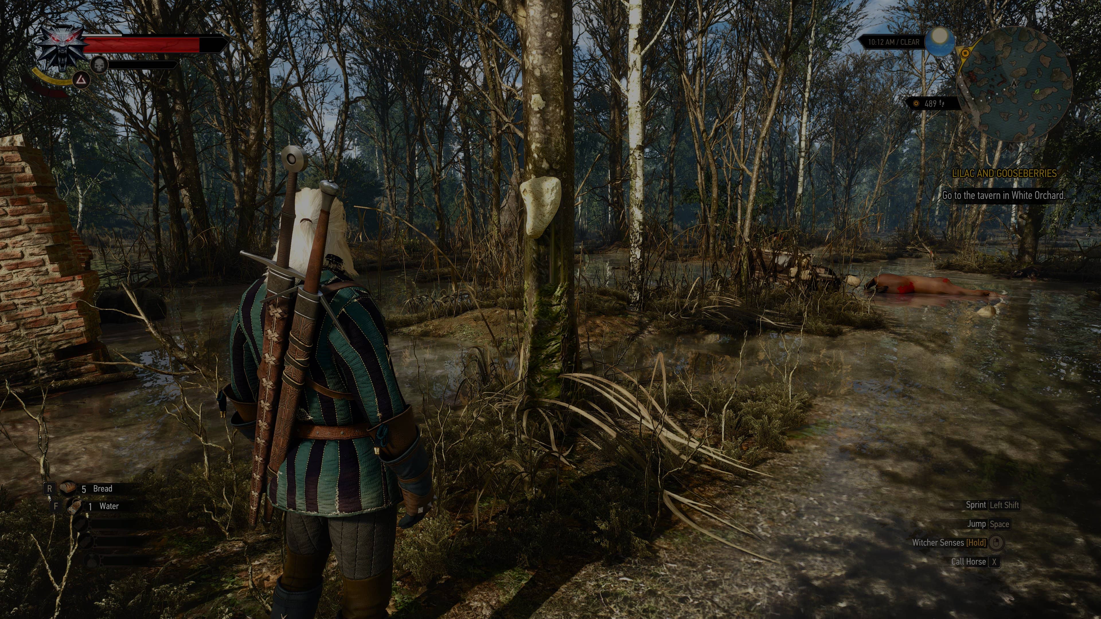 witcher3 2025 07 05 20 16 01 150