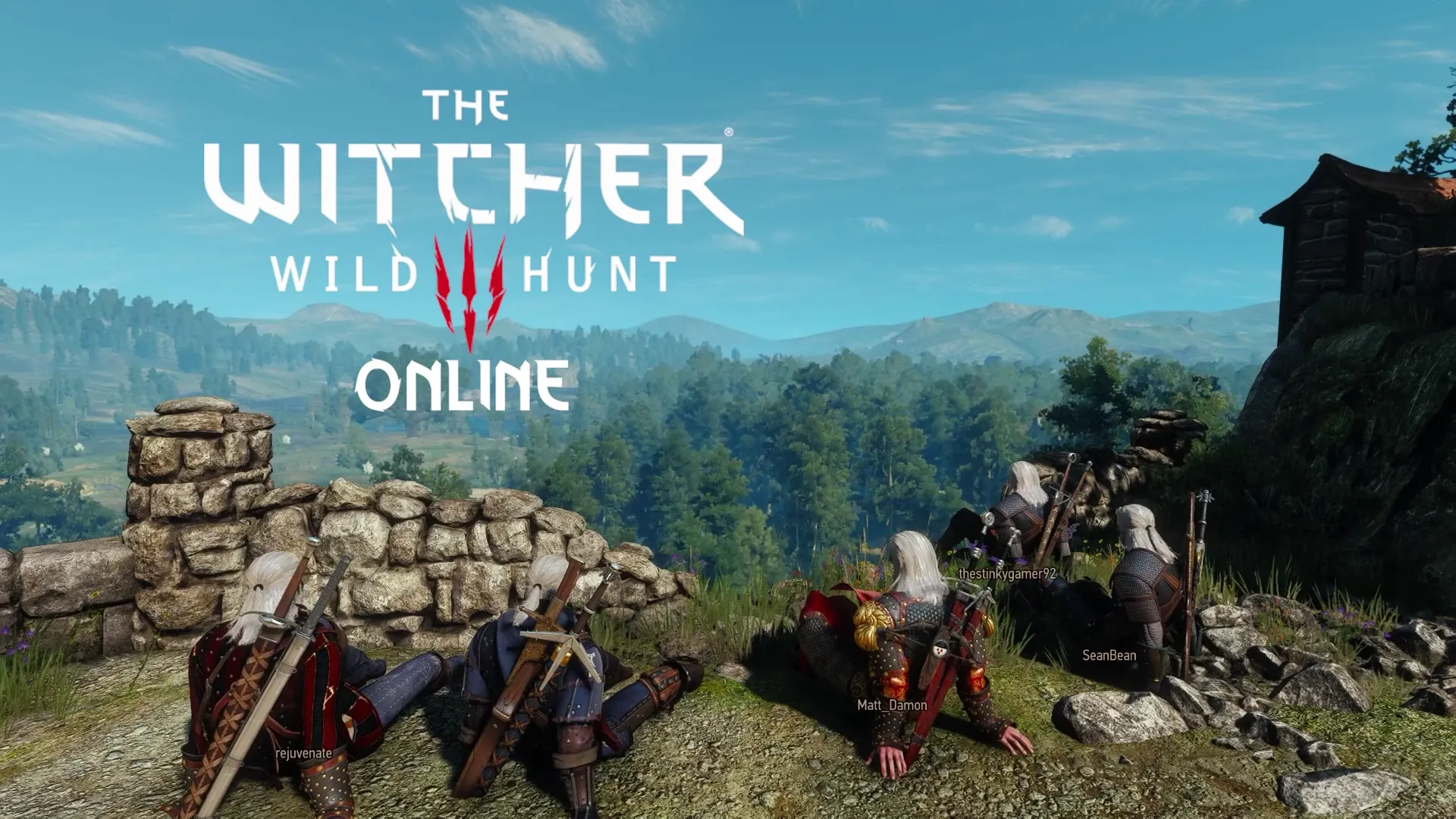 Witcher Online официально вышел