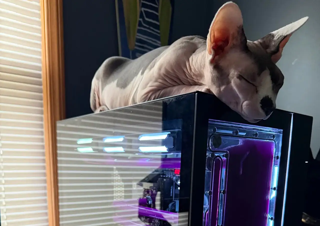 Ryzen 7 9800X3D массово умирают спустя год