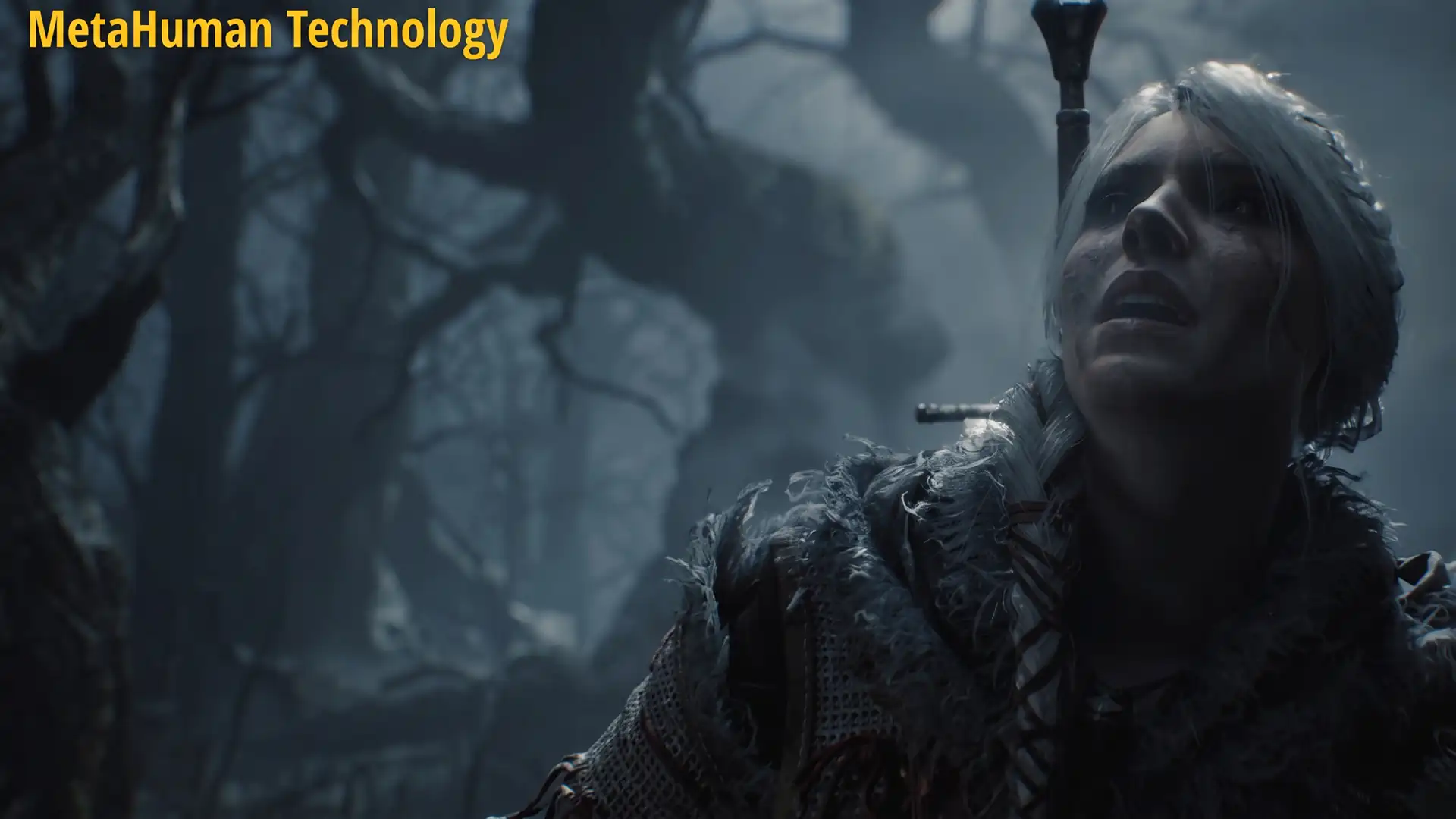Unreal Engine 5 The Witcher 4 5 gpu