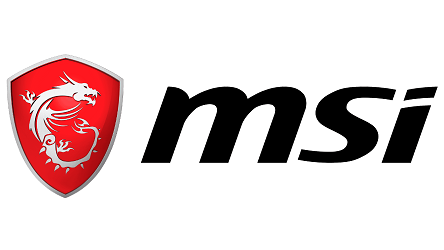 Logo MSI 2019 présent