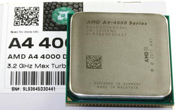amd 01