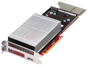 amd f1