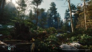 The Witcher 4 задействует Nanite Foliage: CDPR подтвердила полноценную 3D-моделировку всей растительности