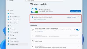 Windows 11 25H2 вышло с ошибками: проблемы с DRM, SMBv1 и ARM64