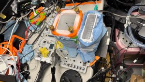 Оверклокер Hicookie разогнал DDR5 до рекордных 13 034 МГц на жидком азоте