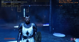 DLSS 5 запустили на Radeon RX 7900 XTX с 7 FPS в Oblivion Remastered