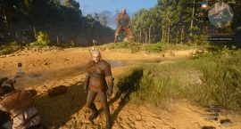 Игроки The Witcher 3 Remastered массово жалуются на технические проблемы в игре
