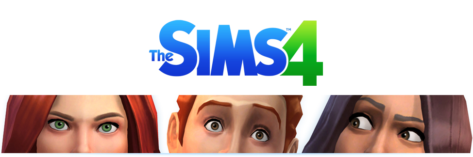 ts4 header_ENG