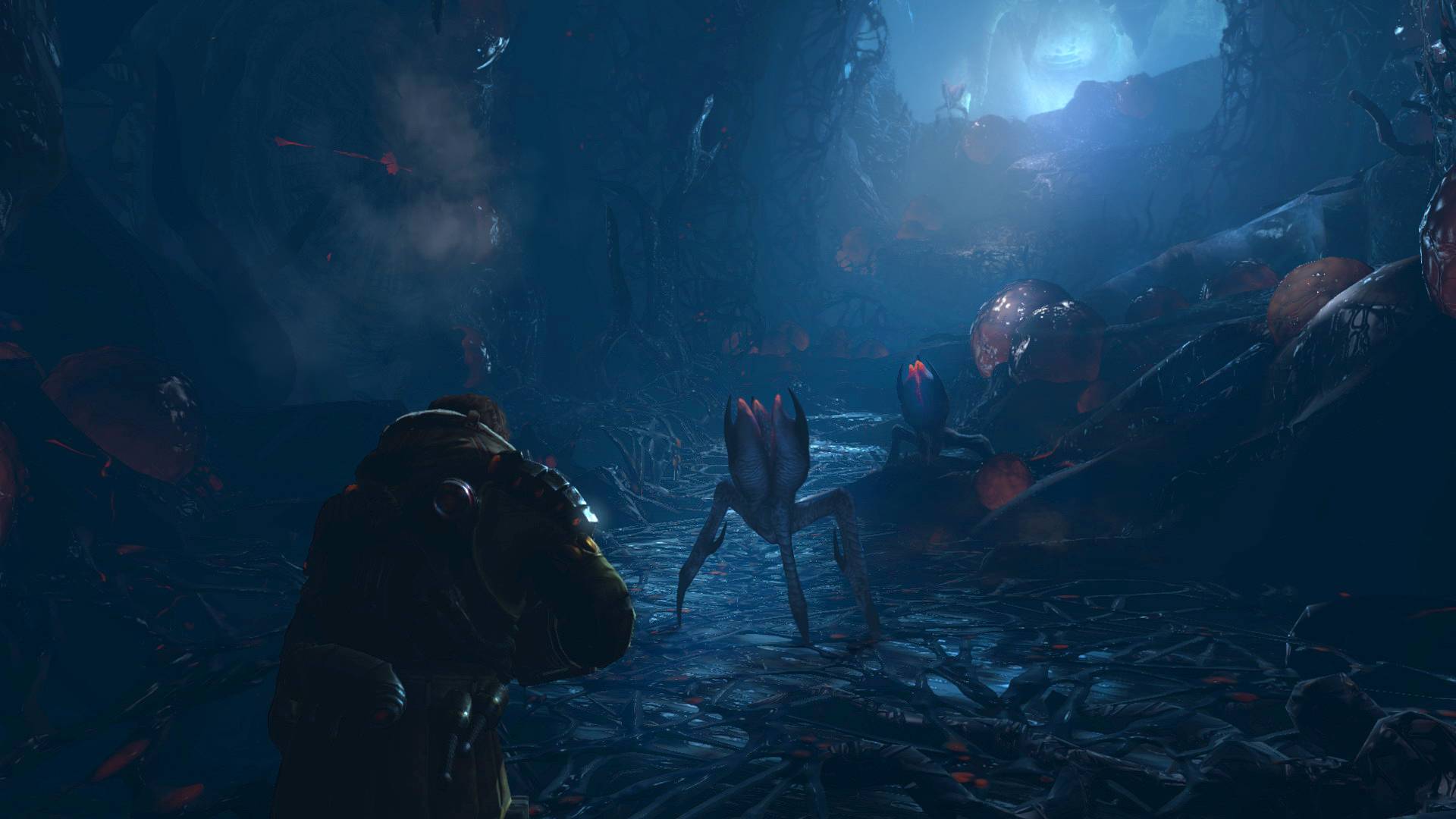 screenshot5