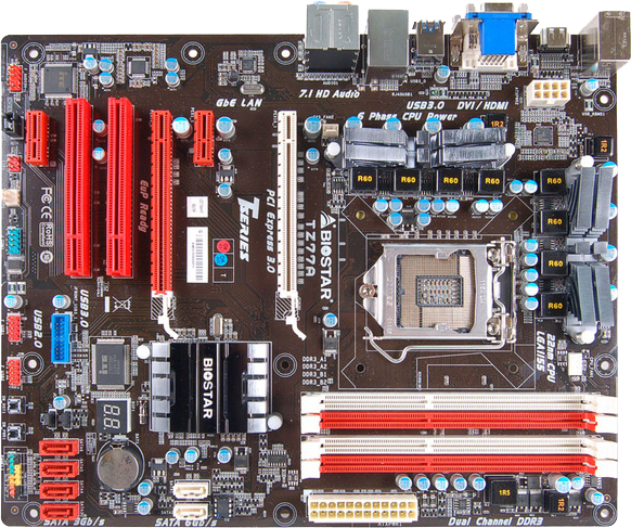 biostar1