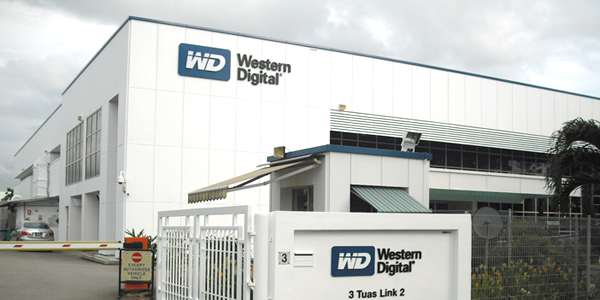 wd prezent