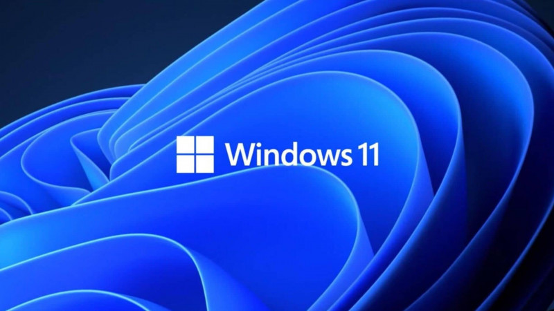 1738622204 0 5 1786 1010 1920x0 80 0 0 822911df1404f5b22ae7253d00085bc8