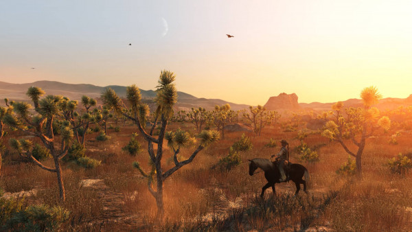rdr4