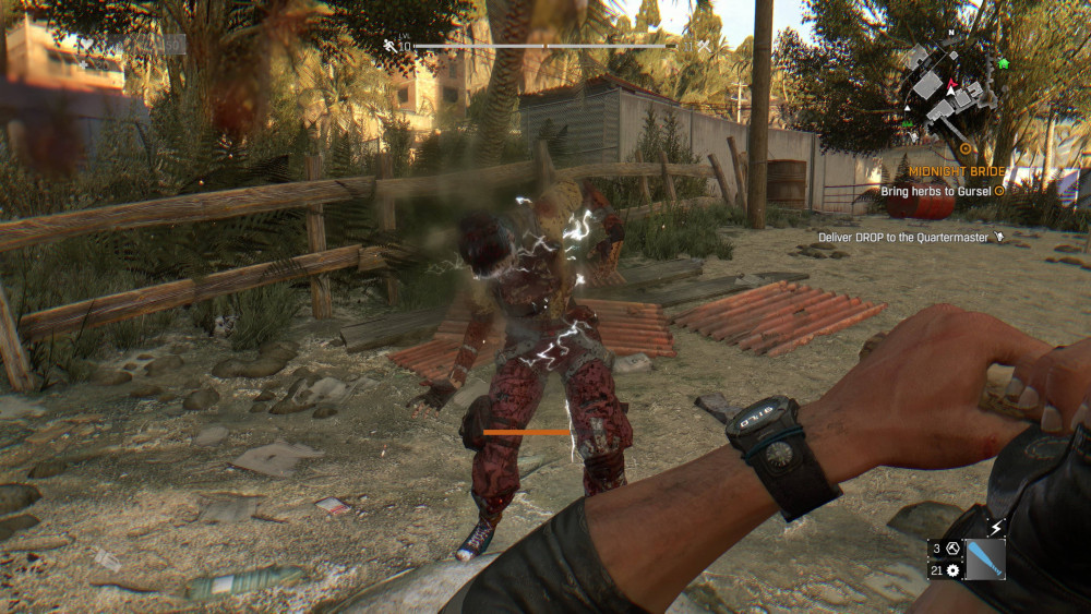 DyingLightGame 2025 06 30 18 01 29 702