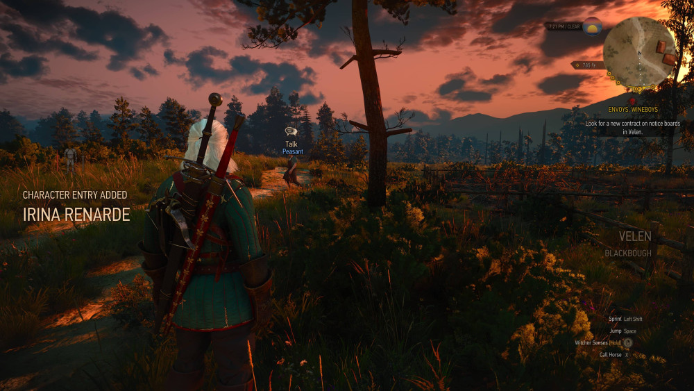 witcher3 2025 07 05 20 10 38 591