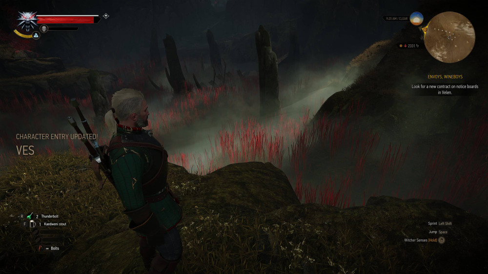 witcher3 2025 07 05 20 12 31 858