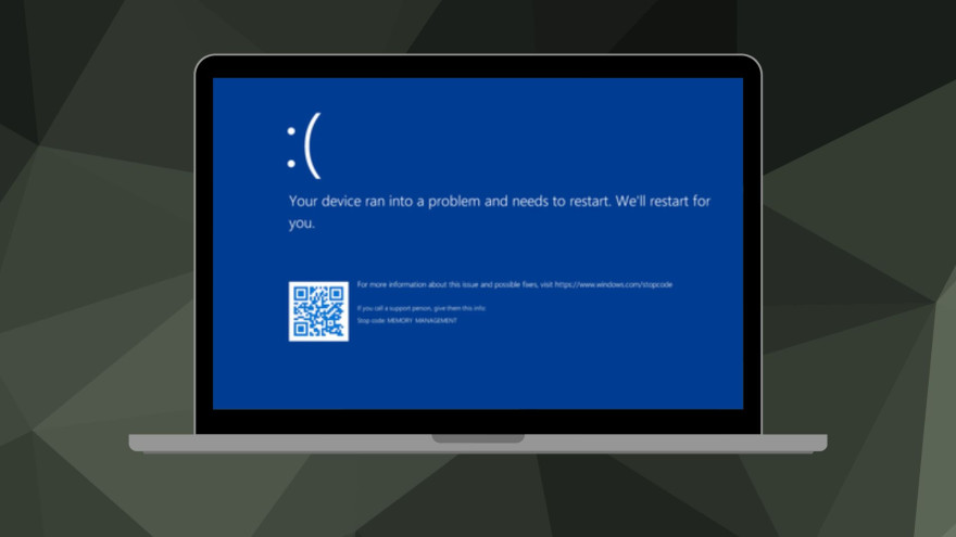 Windows 11 24H2 0x80240069