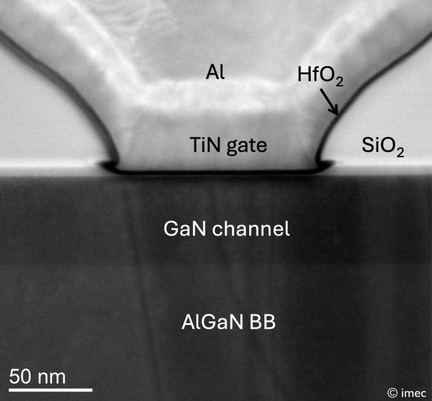 TEM annotated crop