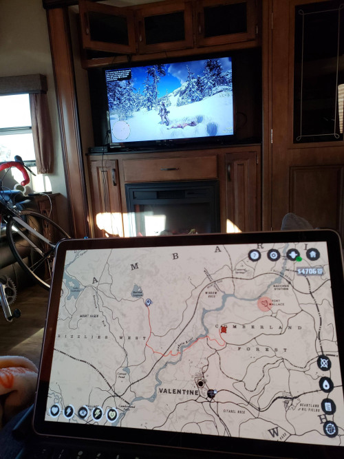Red Dead Redemption 2s companion app