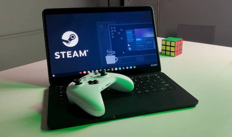 Steam Chromebook