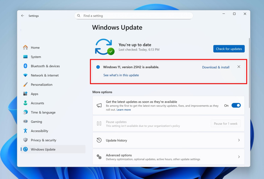 Windows 11 25H2 issues