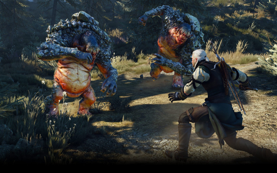 witcher 31