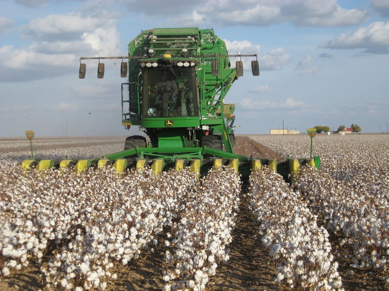 John Deere cotton harvester kv02