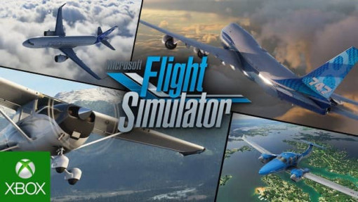 Simulateur de vol Microsoft55