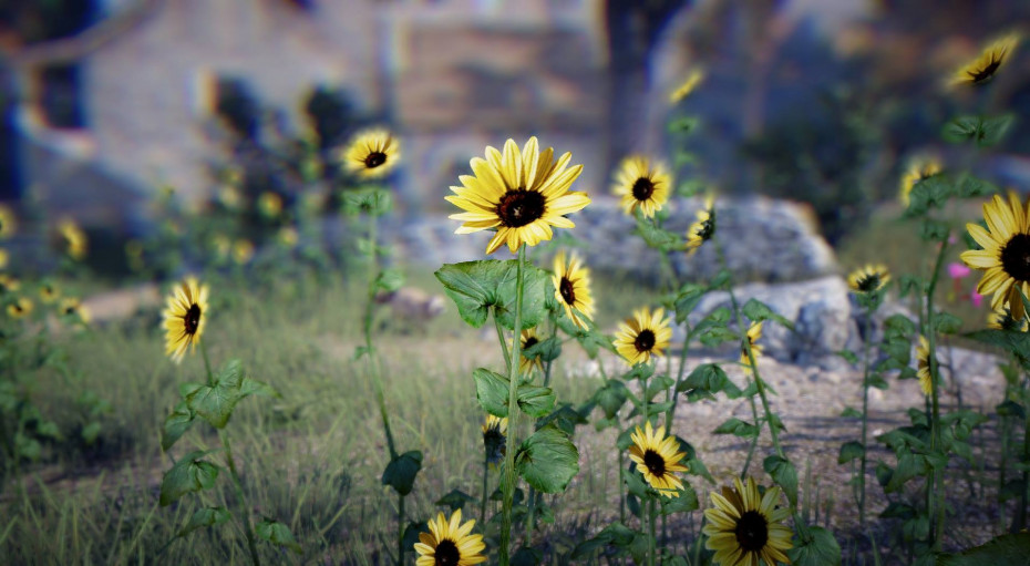 Black Desert Online 2