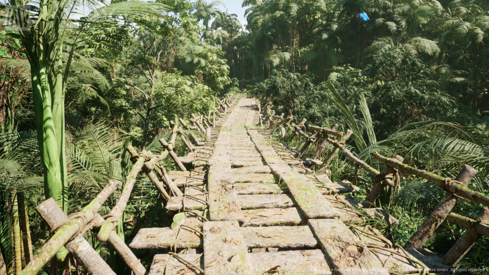 MWTropicalRainforest 2023 06 24 10 00 18 345
