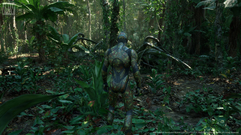MWTropicalRainforest 2023 06 24 17 26 36 157