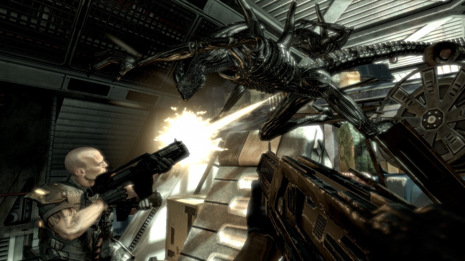 Aliens versus Predator