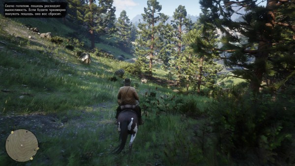 Red Dead Redemption 2 20181028091947