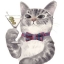 DreamingTomcat