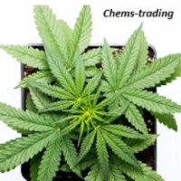 chems chems chemstrading