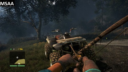 msaa