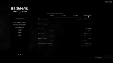 witcher3 2015 05 29 18 31 44 652